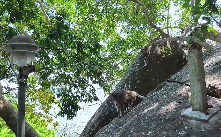 12 ngôi chùa nổi tiếng ở Tây Ninh - Vùng đất linh thiêng